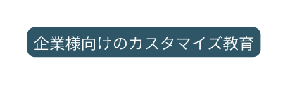 企業様向けのカスタマイズ教育